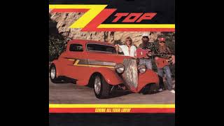 ZZ Top  Gimme all your lovin  EkaN DJ Edit [upl. by Minsk]