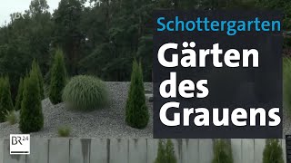 Steine statt Gras  Schottergärten verbieten  Abendschau  BR24 [upl. by Elokyn]