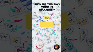 🇺🇸 I Took the Spanish Test and Found the WRONG Answer [upl. by Vtehsta]