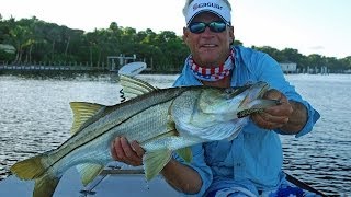 Snook and Redfish Fishing from Chokoloskee in Florida Everglades [upl. by Yesac728]