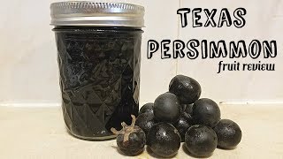 Texas Persimmon Diospyros texana  Weird Fruit Explorer Ep 229 [upl. by Eannej769]