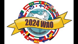 WAO Selectie 2024 [upl. by Ynottirb]