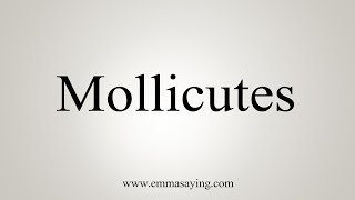 How To Say Mollicutes [upl. by Eybba]