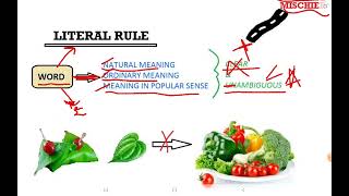 Literal Rule  Interpretation of Statutes [upl. by Etteroma]