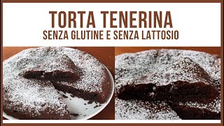 TORTA TENERINA AL CIOCCOLATO ricetta senza glutine e senza lattosio morbida e profumata [upl. by Tull]