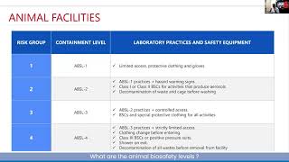 What are the animal biosafety levels [upl. by Anoyk]