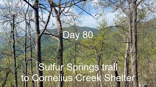 Day 80  Sulfur Springs trail to Cornelius Creek Shelter [upl. by Bina]