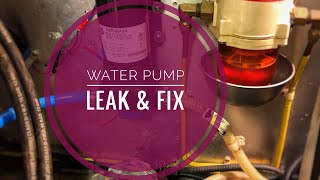 Water Pump Leak amp Temporary Fix [upl. by Einwat876]