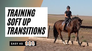 Training A Horse To Go From A Soft Aid [upl. by Ennagroeg]