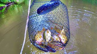 Easy Way To Catch A Delicious Eating Panfish [upl. by Irat978]