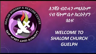 Shalom Church  Sunday Service in Guelph Canada  ናይ ሰንበት መደብ ኣብ ከተማ ጉወልፍ  November 24 2024 [upl. by Roderich408]