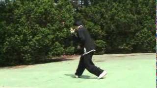 Xingyiquan Xingyi Quan Hsing I Chuan Hsing Yi Chuan Form and Applications 形意拳套路及應用 [upl. by Feldt]