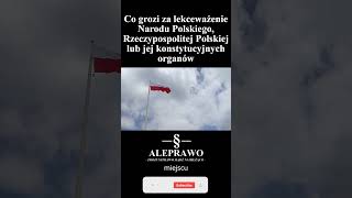 Co grozi za lekceważenie Narodu Polskiego Rzeczypospolitej Polskiej lub jej konstytucyjnych organów [upl. by Aniluap722]