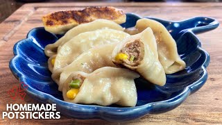 Golden Crispy Homemade Potstickers Dumpling Fried Dumpling Recipes I Made from Scratch [upl. by Pagas424]