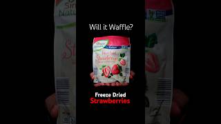 Freeze Dried Strawberries 🍓🥶 Will it Waffle [upl. by Yecaj734]