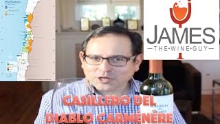 Casillero del Diablo Chile Carménère  13 88 Points [upl. by Euqinwahs]