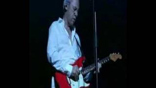 Mark Knopfler solo part live in Marseille [upl. by Adnamaa347]