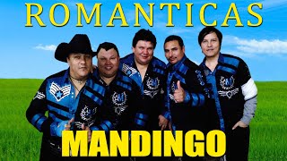 Grupo Mandingo ❤️ Mix Romanticas 2024 ❤️ Exitos Sus Mejores Canciones De Grupo Mandingo ❤️ [upl. by Ahsik]