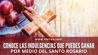 Conoce las INDULGENCIAS que puedes ganar por medio del SANTO ROSARIO [upl. by Madigan]