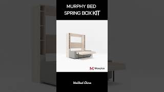 MBK8 queensize Murphy bed with sofa easy diy spring box hardware kit for all size of murphy bed [upl. by Fitting]