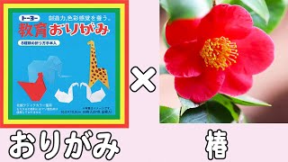 【折り紙】椿（つばき） 簡単な作り方 立体的な折り方 冬の花の折り紙 子供でも作れる折り方 12月・1月・2月の折り紙【おりがみ】 [upl. by Gora681]