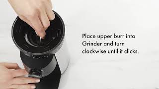 How to Clean the OXO Brew Conical Burr Coffee Grinder [upl. by Nami]