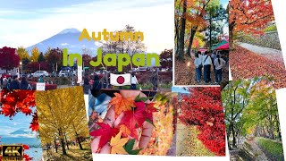 Autumn in Lake Kawaguchi Japan  Autumn Japan 4k Beautiful Autumn Scenic Landscape  MtFuji view [upl. by Enybor]