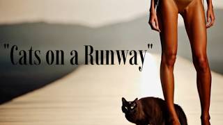 quotCats on a Runwayquot  An Ai Masterpiece [upl. by Childs]