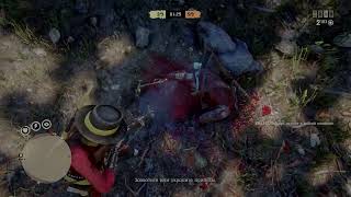 Amputation in Red Dead Online RDR2 [upl. by Muller]