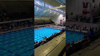 Speedo sectionals IU Natatorium [upl. by Ennayhc]