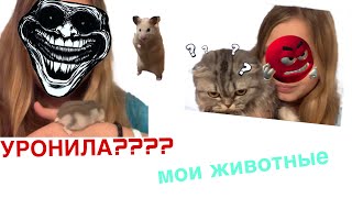 УРОНИЛА ХОМЯКАМОИ ЖИВОТНЫЕУБОРКАВЛОГ🌨️ [upl. by Notirb]