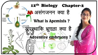 12th biology What is Apomixis असंगजनन क्या है  Adventure embryony अपस्थानिक भ्रूणता क्या है [upl. by Sremlahc]