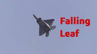 F22 Raptor does Falling Leaf and Cobra Maneuver [upl. by Clemens]