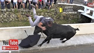 Tourada à Corda Casa da Ribeira 11 Julho 2019 Ganadeiro HF [upl. by Ecitnerp]