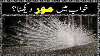 Khawab Me Moor Dekhna  Khawab Ki Tabeer In Urdu [upl. by Robinetta]