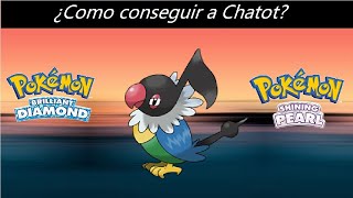 Como conseguir a Chatot en Pokemon Diamante Brillante y Perla Reluciente [upl. by Wivina]