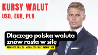 Dlaczego polska waluta znów rosła w siłę [upl. by Rudolf]