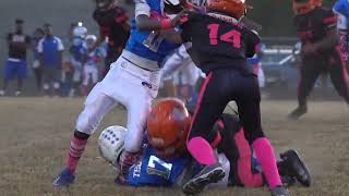 Fultondale Wildcats 10u vs Parkwest Tigers Highlights [upl. by Sacul213]