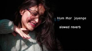 Hum Mar jayenge Slowed Reverb Arjit Singh song [upl. by Dieterich]