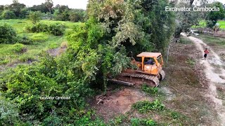 Amazing Heavy Old Heavy Bulldozer Working Breakdown Tree Making New Road With Small Dozer And Truck [upl. by Anaitak]