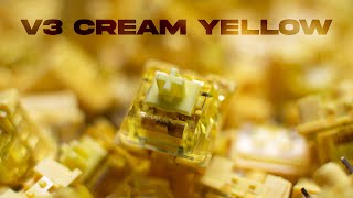 Creamy Switches  Akko V3 Cream Yellow Sound Test [upl. by Auhs]