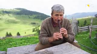 Planina Bjelasica  Bijelo Polje [upl. by Remoh]