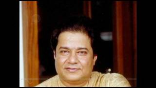 Humsafar Gham Jo Mohhobbat Mein Diya Hai Tumne  Anup Jalota [upl. by Neemsay]