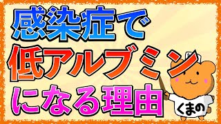 イラストで学ぶ医学！「感染症で低アルブミンになる理由とは？」CRPとAlbの関係とアセスメントの仕方 [upl. by Kreiker]