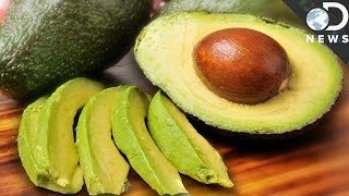 Everything You Need To Know About Avocados [upl. by Annawot]