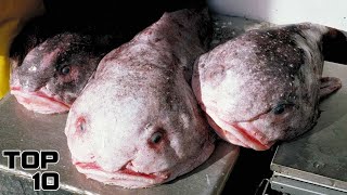 Top 10 Scary Mariana Trench Discoveries [upl. by Levina]