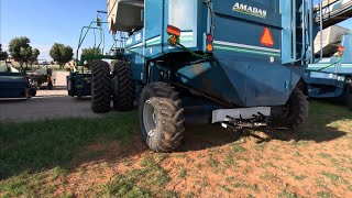 Peanut Combines Get an Upgrade [upl. by Lattie]