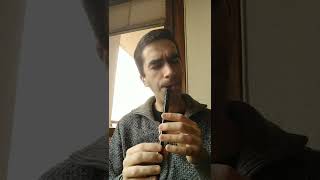 Down by the Sally Gardens  tin whistle cover [upl. by Haleigh468]