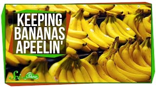 Keeping Bananas Apeelin [upl. by Suk]