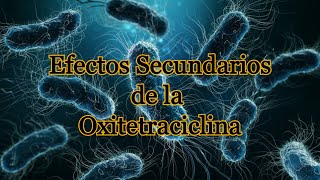 Efectos Secundarios de la Oxitetraciclina [upl. by Ahcatan]